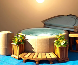 best hot tub for the money