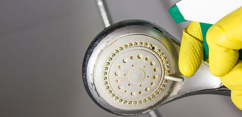 How To Clean Shower Head Rubber Nozzles? Step-by-Step Guide